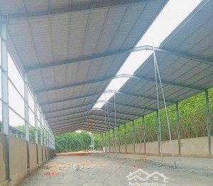 xưởng tân uyên 6000m2 vp 200m2 pccc tự động nghiệm thu. sx nhiều ngành nghề giá 440 tr/th