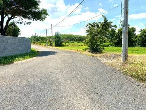 bán hơn 1.1 héc vườn trái cây có sẵn nhà cấp 4 tại phước tân - xuyên mộc giá 1.1 tỷ/ sào 