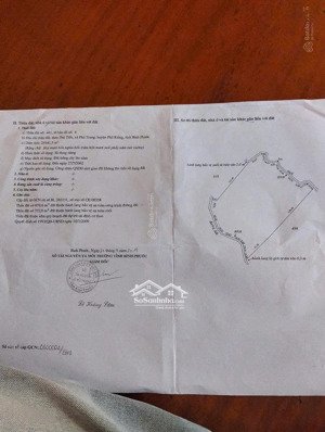 gia đình cần bán gấp 2.5ha rẫy điều