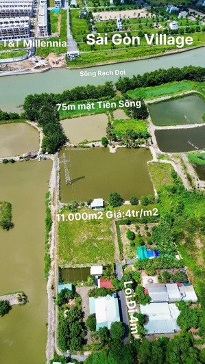 11000m2 đất view sông rạch dơi giá 4tr/m2 xã nhơn đức giáp t&t millennia sài gòn village long hậu