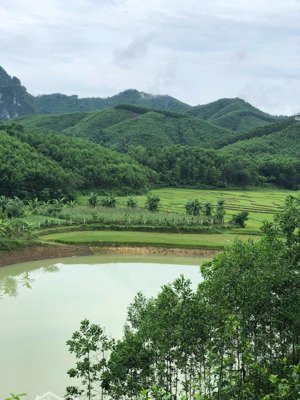 chính chủ em bán 5000m2 đất view hồ, cánh đồng lúa xanh ngát tại đú sáng kim bôi, hòa bình