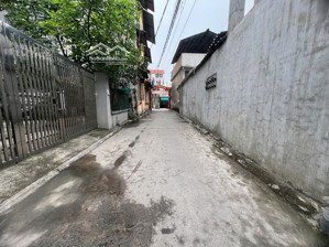 bán nhà 3 tầng kiêu kỵ ô tô vào ngay cạnh vin 32m đang cho thuê 3,95ty