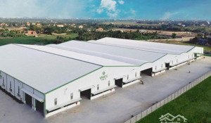 cho thuê xưởng mới mặt đường ql1a hoằng hoá, thanh hoá (gần cầu nguyệt viên)