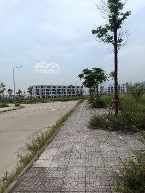 bán lô đất 85m2 tại felicity trưng vương vị trí lô đất tọa lạc gần trục chính nội khu của dự án
