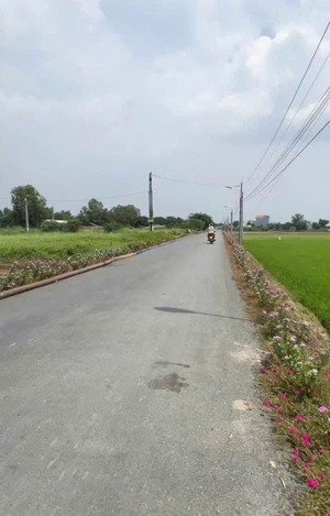 bán đất tại xã tân quý tây, bình chánh tphcm, dt: 160m2 - giá 1 tỷ 350 .