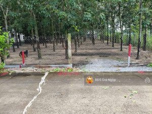 chủ bán lô đất 150m2 mt 5m, sẵn tc , sau trường tiểu học lai uyên, thích hợp đầu tư