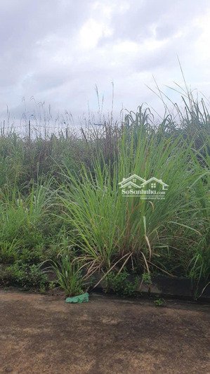 bán gấp đất tại đoàn kết, vân đồn, quảng ninh, 10,8 tỷ, 140m2