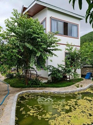 homestay 500m2 sang chảnh ven đà lạt nhà đẹp đã sẵn, view thông bao phê 