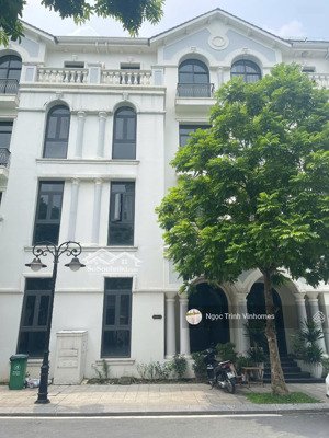 chỉ 18,5 tỷ sở hữu biệt thự ngọc trai - phân khu vip nhất tại dự án vinhomes ocean park gia lâm