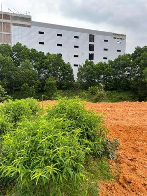 bán đất bên cạnh khu công nghiệp phú hà, thị xã phú thọ, phú thọ, 400m2, gía 2 tỷ