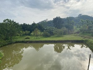 bán lô đất nghỉ dưỡng 1108m2 view cánh đồng tuyệt đẹp tại yên bình