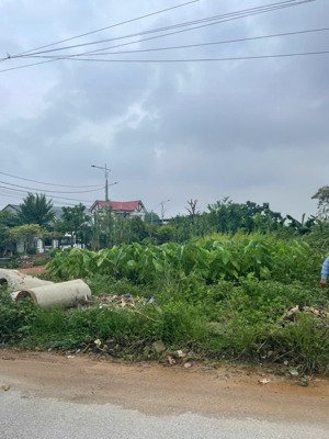 bán đất hà lộc, thị xã phú thọ, phú thọ, 2 mặt đường ô tô, 160m2, gía 650 triệu