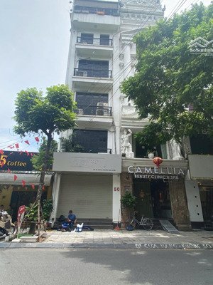 cho thuê nhà mặt phố 30 triệu, 55m2 7 tầng thang máy tại mễ trì, nam từ liêm, hà nội