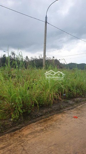 đất nền bán gấp tại đoàn kết, vân đồn, quảng ninh, 11,5 tỷ, 166m2