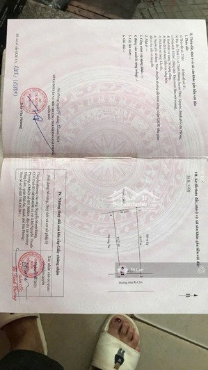 chính chủ gửi bán lô đất đẹp như mơ tại phường thiên hương hải phòng