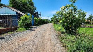 chính chủ bán lô đất 167m2 full thổ mặt tiền đường liên xã tân lân và phước tuy, cần đước