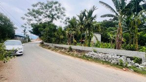 chỉ hơn 700k/m sở hữu ngay siêu phẩm nghỉ dưỡng 3900m2 liền kề nhà máy in tiền lạc thủy