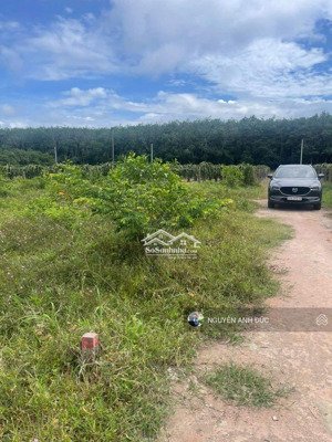 bán gấp trả nợ. 1060m2 - 20*55m gồm 2 sổ riêng biệt. chỉ 1.2 tỉ. bán gấp sổ riêng công chứng liền