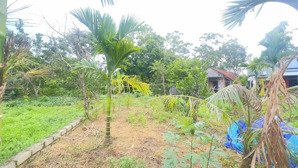 chỉ 860 triệu sở hữu ngay lô đất view núi view cánh đồng pháp lý chuẩn