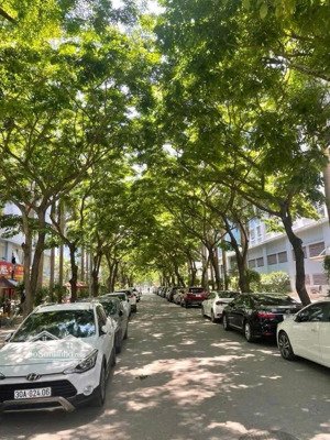 3.x tỷ chung cư ecohome 1 - 65m2 - 2 phòng ngủ + 1, tân xuân, đông ngạc