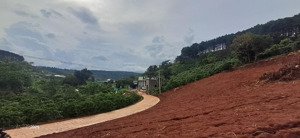 chính chủ bán đất gần đà lạt 790 triệu hơn 200m², sẵn thổ cư view đẹp