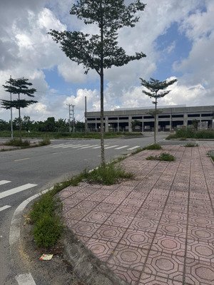 bán đất đẹp tại tây lương, tiền hải, thái bình, 2,2 tỷ, 136m2