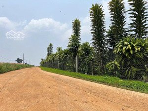 bán đất đẹp tại hoài đức, lâm hà view đồi chè chỉ 650 tr/sào