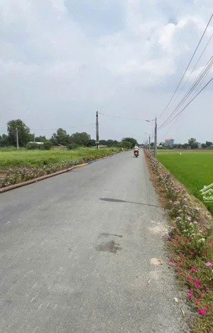 chính chủ cần bán lô đât thổ cư ,tân quý tây, bình chánh tphcm.