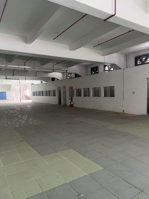 xưởng cho thuê tiêu chuẩn, pccc tự động, bảo vệ 24/24. phù hợp sản xuất các ngành. giá siêu tốt