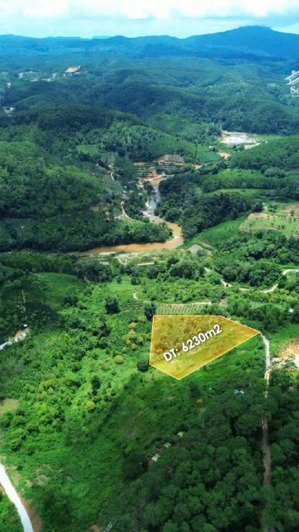 bán đất 6320m2 tại đắk long, kon plông, kon tum, giá 4,5 tỷ