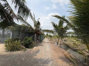 12x42m đất vườn bình đức, tây ninh (bến lức, long an)