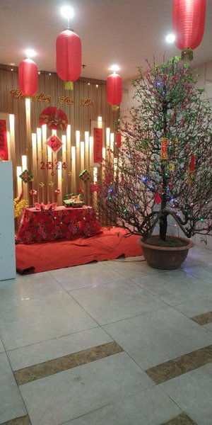 bán gấp căn đẹp 3 ngủ chung cư startup tower ngõ 91 đại mỗ, giá rẻ. lh 