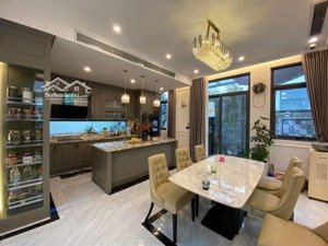 chính chủ cần bán biệt thự song lập dt 202,5m2 tại kdt mới dương nội, mt 9m ngay cạnh hồ công viên.