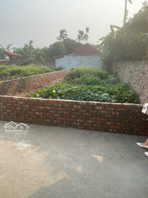 bán đất dương hồng thuỷ- thái thụy- thái bình.giá 350 triệu. s: 86m . gần trường- ngõ thông oto