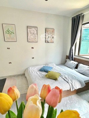 cho thuê chung cư mini 30m2, 5,4 triệu, tại đình thôn, mỹ đình 1, nam từ liêm, hà nội