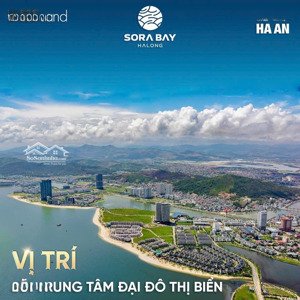 thương phố sora bay hạ long - phố đêm không ngủ - kinh doanh sầm uất tại hạ long