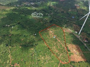 cần bán lại 2 héc rẫy giá đầu tư tại trung tâm hành chính krongbuk (cách 1.5km)