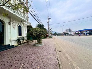 gấp! bán nhà biệt thự lô góc, thọ tháp, dt 230m2x7t mt 15m, vỉa hè rộng, 1 hầm, 3 thoáng, thang máy