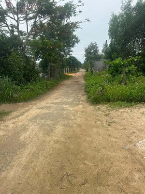 lô đất giá siêu mềm tại khu bàn cờ, khánh hiệp khánh vĩnh 279 triệu full thổ