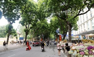 bán gấp đất tặng nhà mặt phố ,trung tâm quận qua đình,phan đình phùng,quán thánh,cực kỳ hiếm