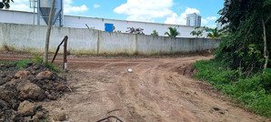 cho thuê đất trống cln tại xã an long, tp. hồ chí minh, giá 20 triệu/tháng, dt 4,5 ha