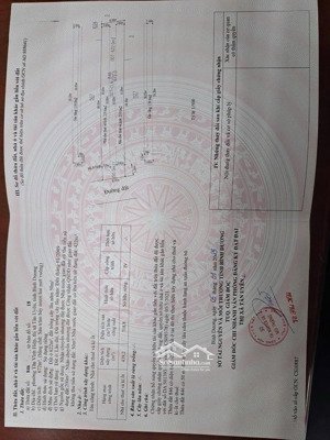 bds dù có đẹp nhưng không mang lại dòng tiền thì chưa thật sự là lựa chọn tốt nhất