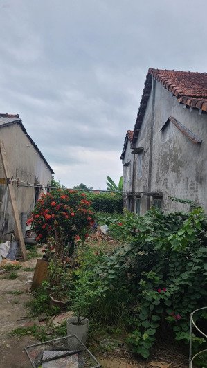 bán lô đất mặt tiền đường dt 610, xã duytrinh, huyện duy xuyên (cũ), phía trên công ty sedo 1 chút