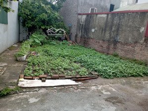 chính chủ cần tiền gửi bán gấp mảnh đất đẹp ngô gia tự. long biên. hà nội