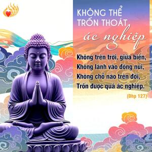 Ý NGHĨA & LỄ DÂNG Y TẮM MƯA TẠI CÁC CHÙA HỆ PHÁI NAM TÔNG.