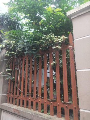 cần bán gấp nhà ngõ 175 lạc long quân lô góc 3 mặt thoáng, 38m2 chỉ 7.5 tỷ nhà mới đẹp