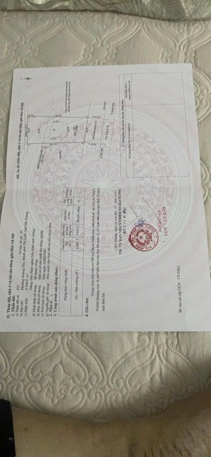 bán gấp -- dt sổ đỏ 5700m2 + dt cty cnhh thương mại tp sao đỏ - chí linh - hải dương