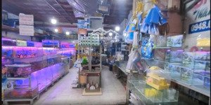 nhà mt nguyễn ảnh thủ q12. ngang hơn 7m hiếm có. thổ cư 205m2 giá 19,5tỷ tl