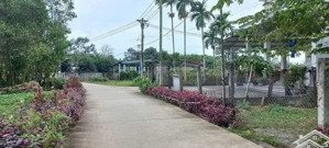 10x25: đất và nhà có tặng kèm khoảng 300m2 đất vườn