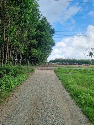 cần bán lô đất kp4 hắc dịch - phường tân thành. tp hồ chí minh